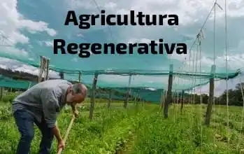 Cultura Agropecuaria Regenerativa post