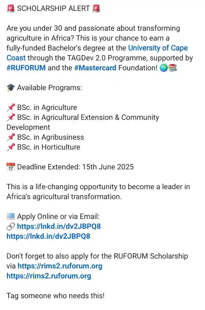 Image from ALBERT KPEGLO: *Opportunity Arena ✍️🇬🇭* https://www.linkedin.com/posts/abdulfataw...