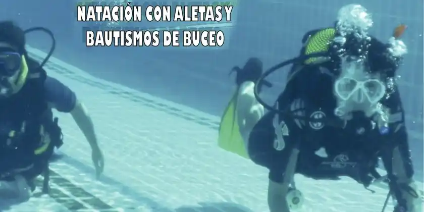 Image from UPCT Estudiantes: 🤿 *¡Bautismos de Buceo el próximo sábado!* 🤿 ¿Eres estudiante de la...