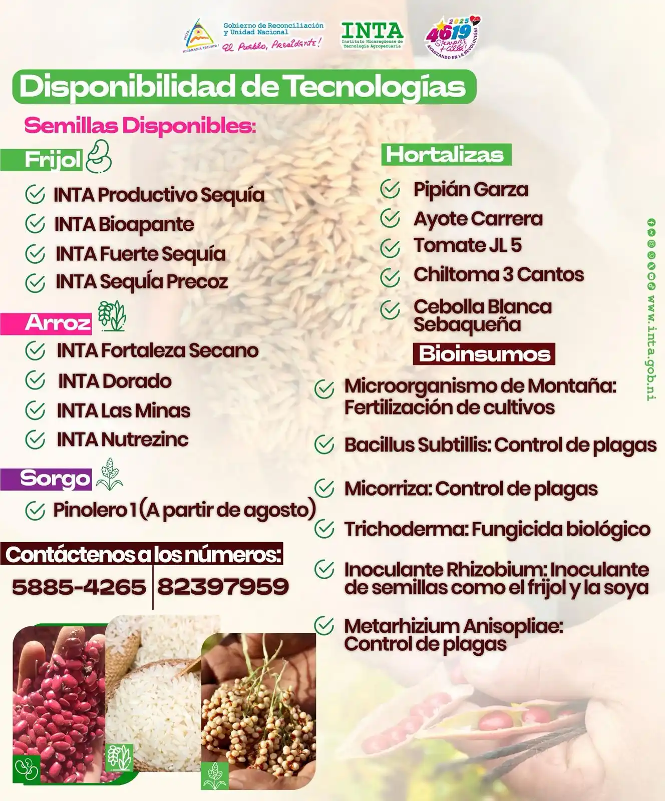 Image from Instituto Nicaragüense de Tecnología Agropecuaria - INTA Nicaragua: *DISPONIBILIDAD DE TECNOLOGÍAS GENERADAS POR EL <a class="text-blue-50...