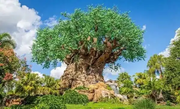 Disney Park News - Disneyland Paris & Walt Disney World News von dein-dlrp post