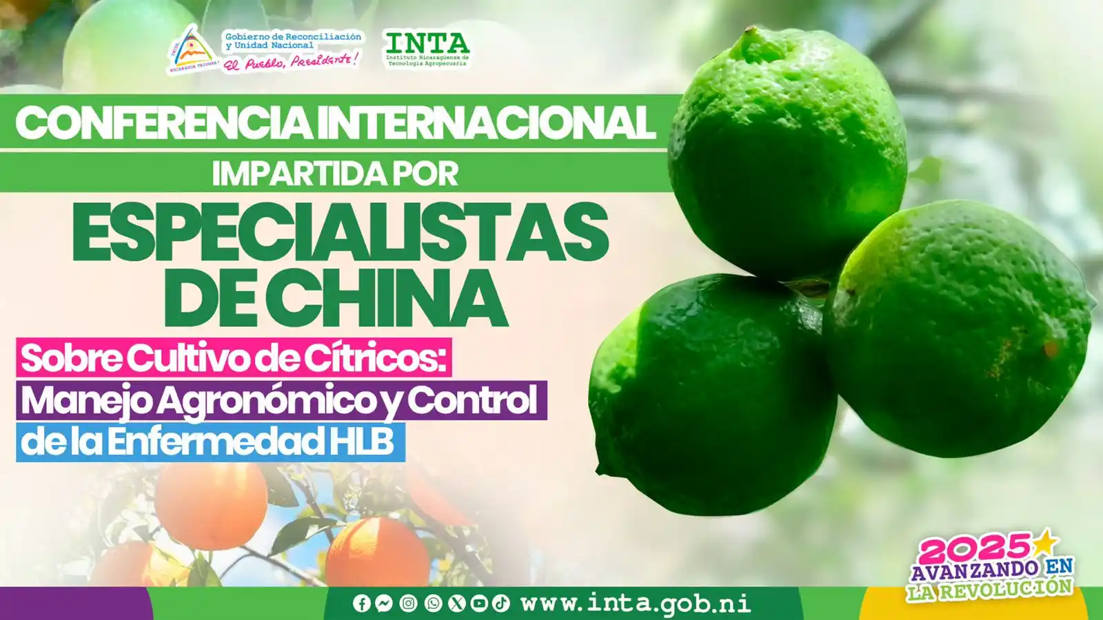 Image from Instituto Nicaragüense de Tecnología Agropecuaria - INTA Nicaragua: *INVITACIÓN ABIERTA* *El <a class="text-blue-500 hover:underline curs...