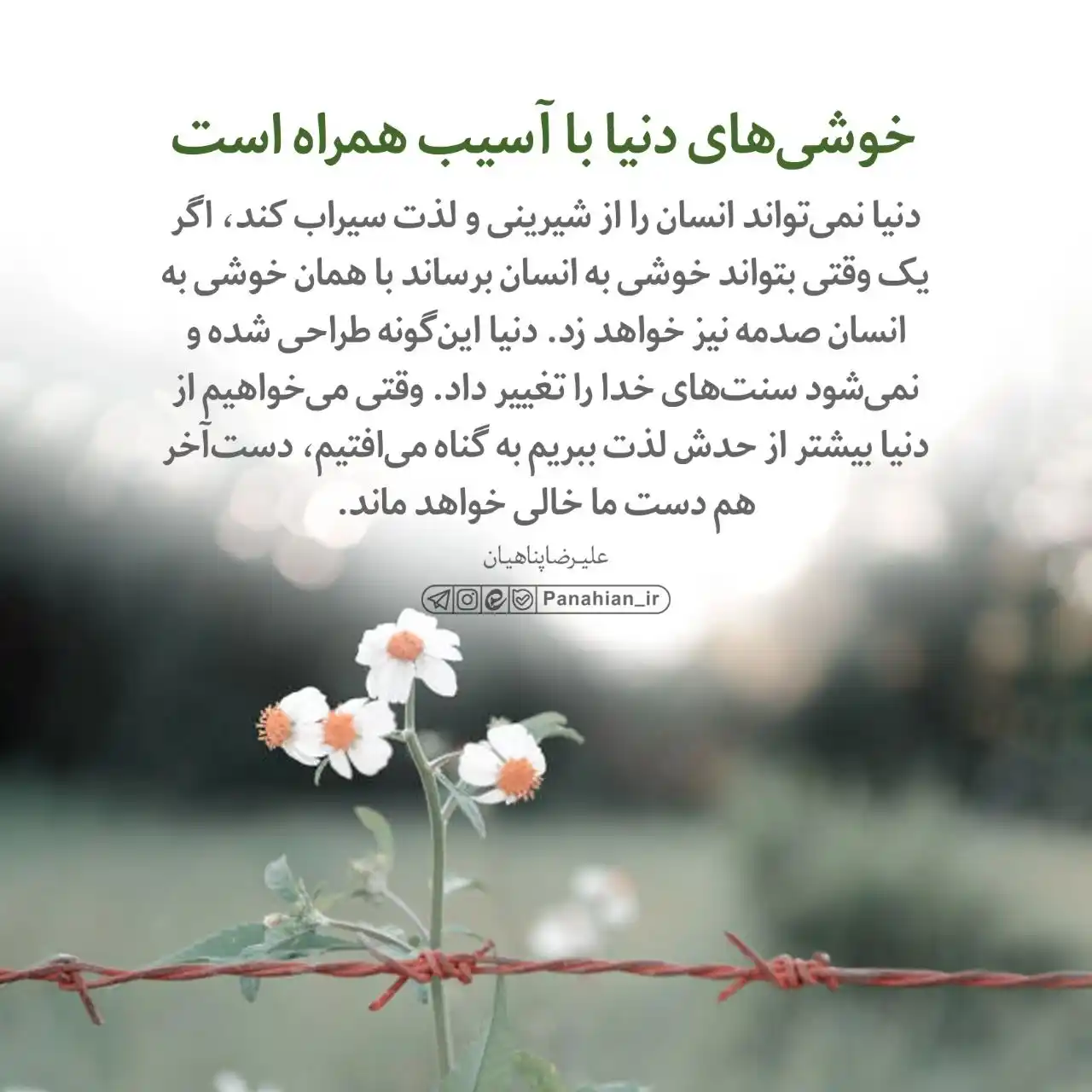 Image from علیرضا پناهیان: 💌 خوشی‌های دنیا با آسیب همراه است  <a class="text-blue-500 hover:unde...