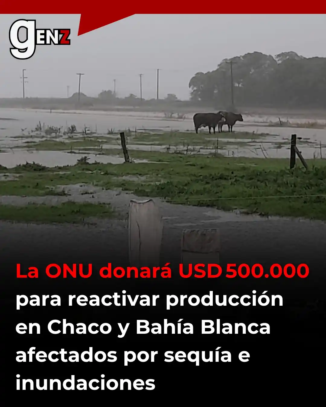 Image from Gen Z noticias: 💵 La ONU, por medio de la FAO y la Secretaría de Agricultura, destina...