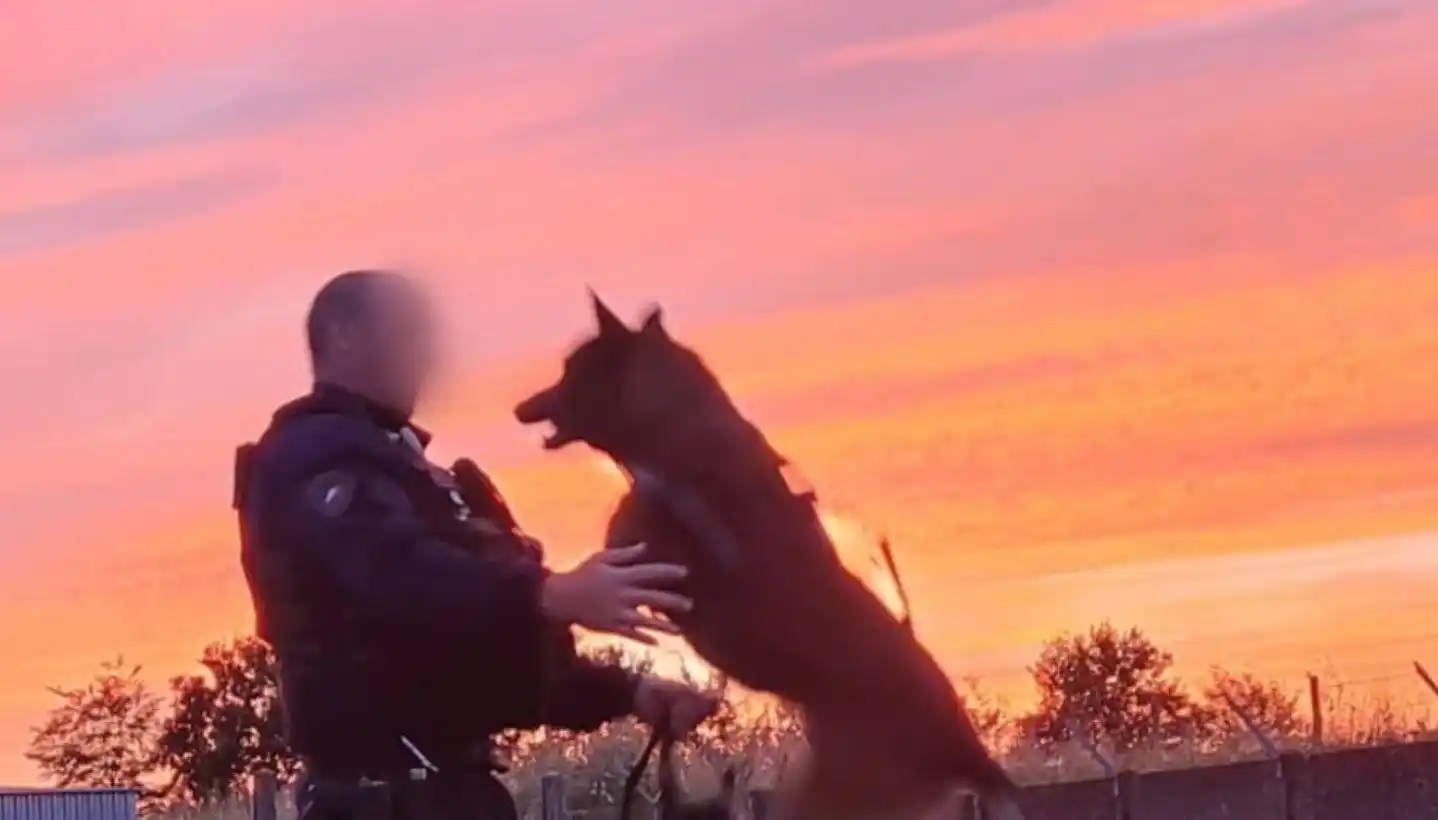 Image from ACTU Forces de l’Ordre: 🔴 Policier grièvement blessé à Coutances lors des célébrations de la ...