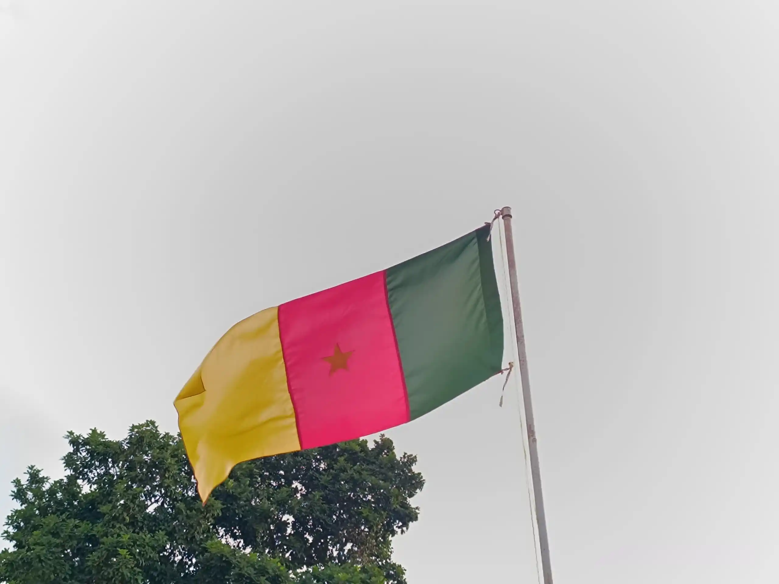 Image from ⭕️ Minjec WEB TV: *Respect des emblèmes* *Le drapeau*  Et si on parlait cet après-midi d...