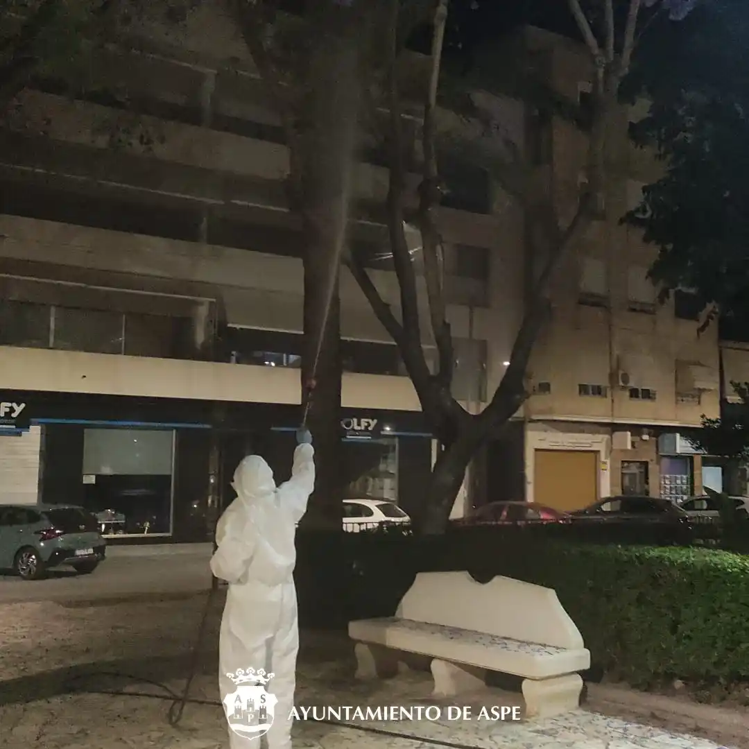 Image from Ayuntamiento de Aspe: 🌳 Tratamiento contra plagas en los árboles de Aspe 🌙 Desde hace más...