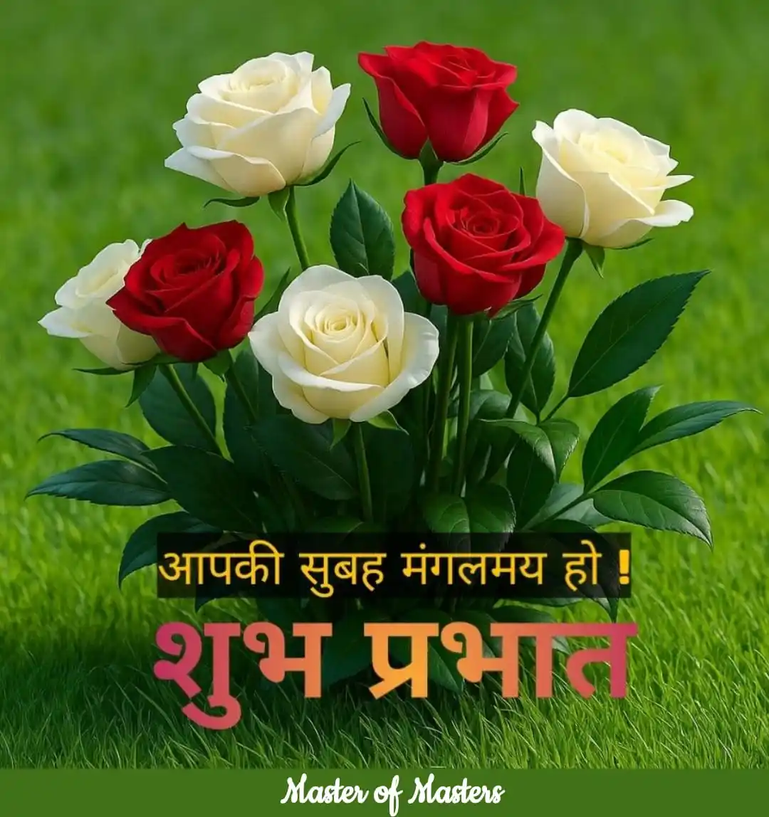 Saviour of SELF & SOCIETY ❤️ post