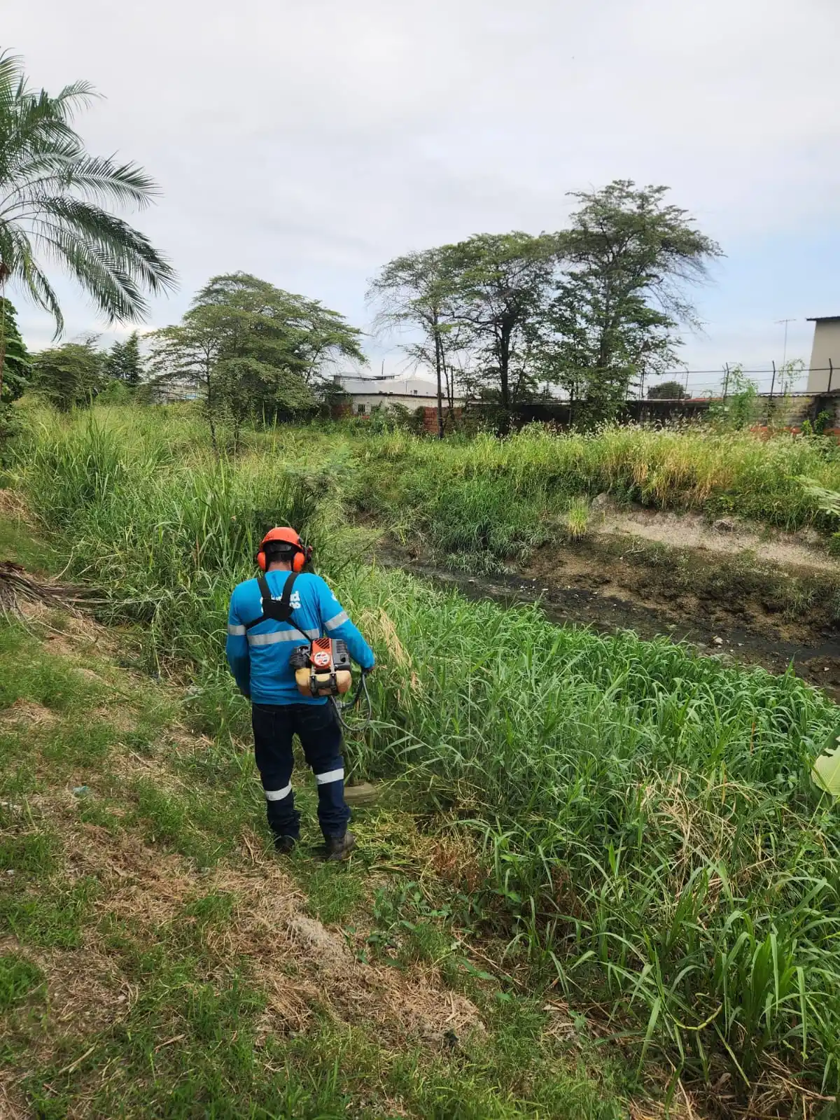 Image from Ciudadela Guayacanes: 📌 *ATENTOS* Personal del Área de Parques del Municipio de Guayaquil, ...
