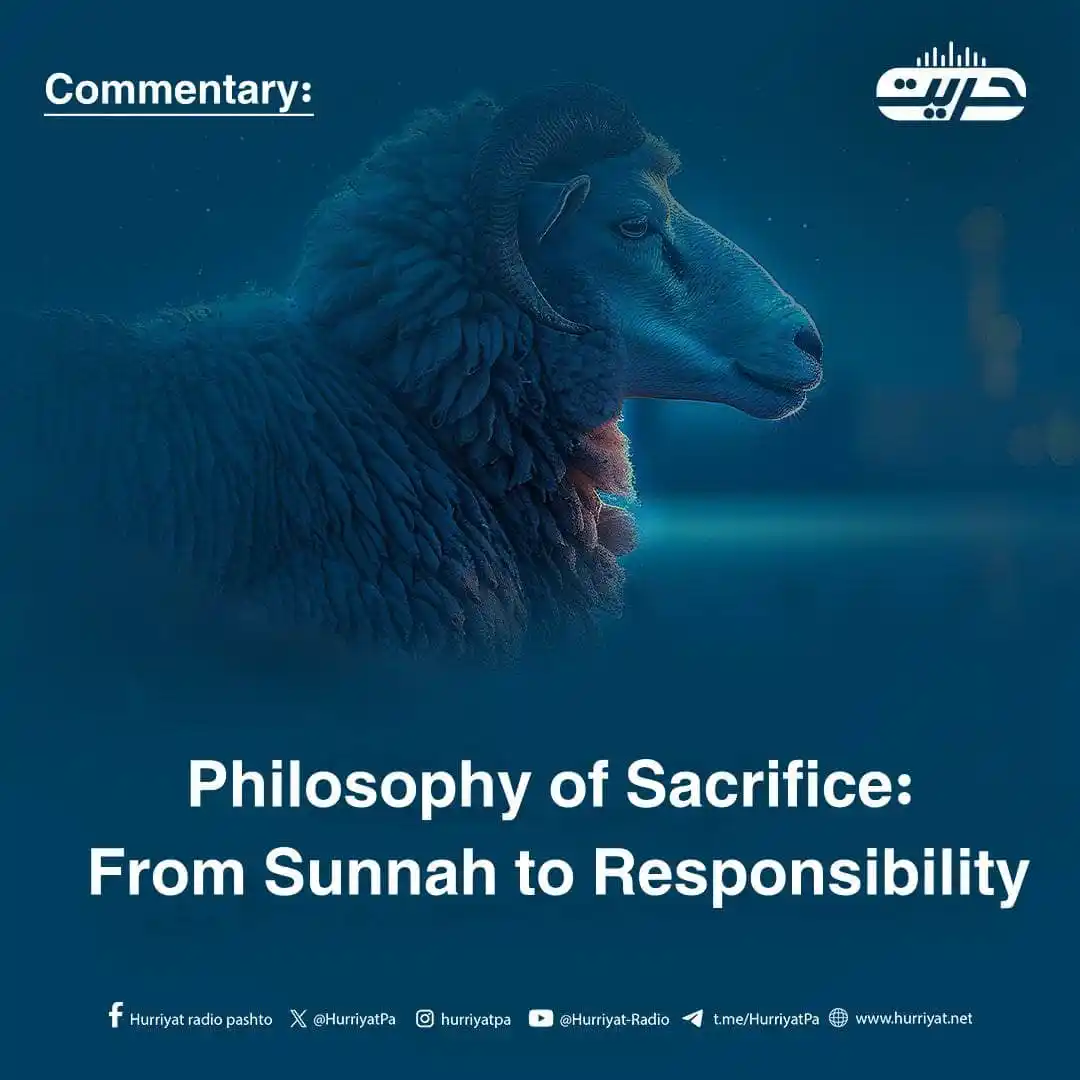 Image from Hurriyat Radio English: Commentary Hurriyat Radio  Philosophy of Sacrifice: From Sunnah to Res...