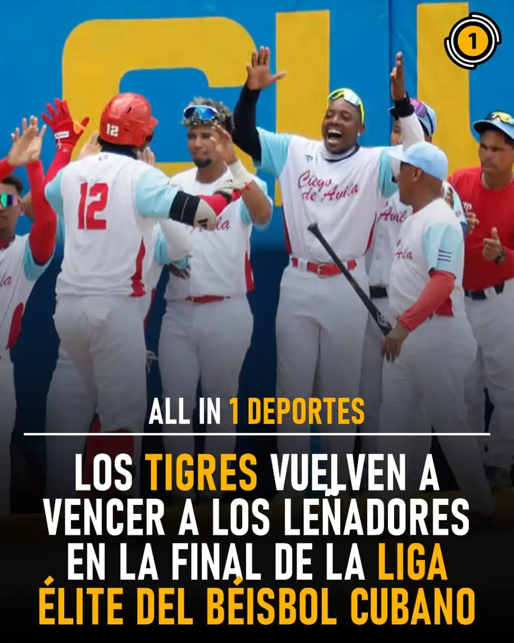 Image from All In 1 Deportes: 🇨🇺⚾ ¡Tigres imponen su garra! Ciego de Ávila toma ventaja 2-0 en la ...