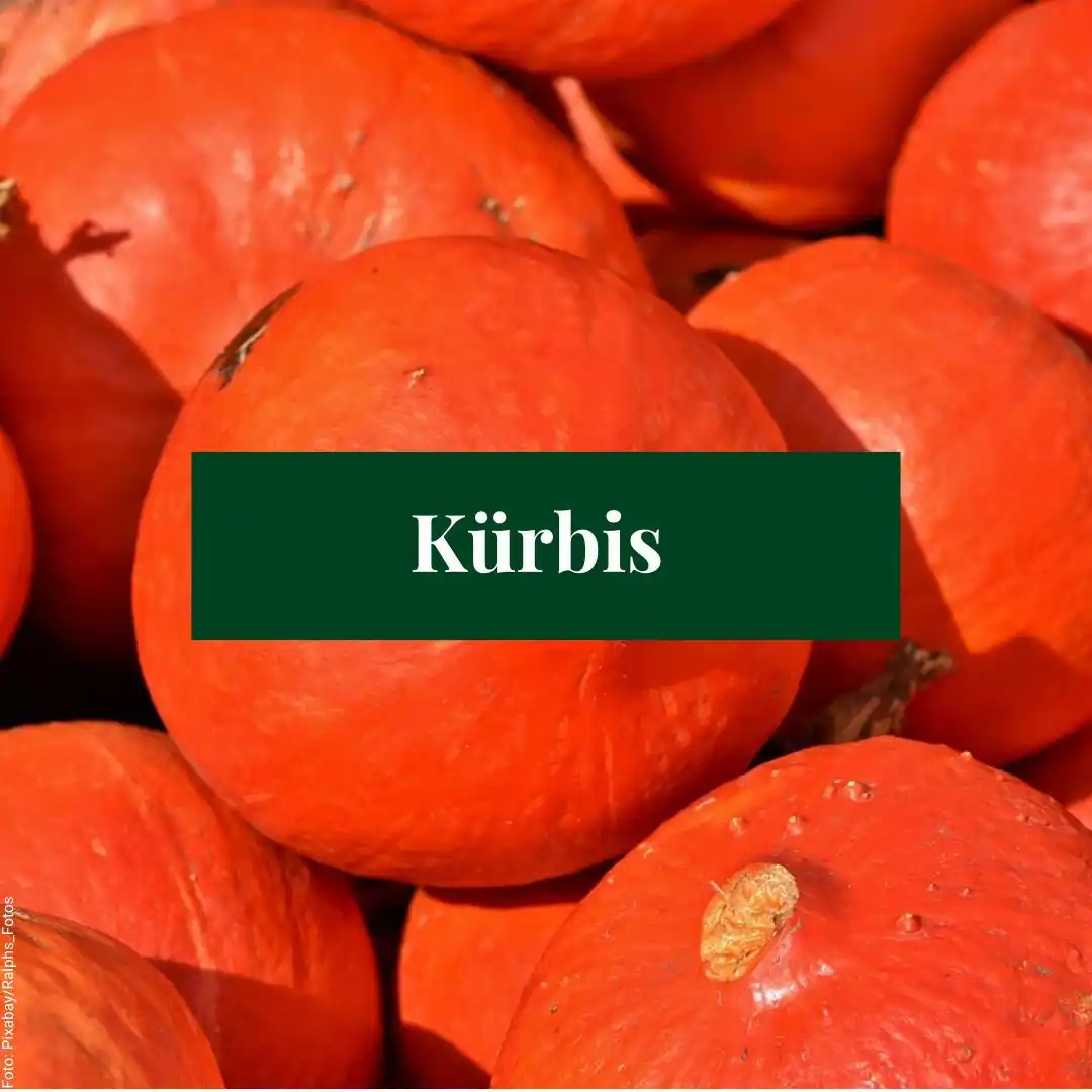 Image from Mein schöner Garten – Obst- & Gemüsegarten: Tipps & Tricks: Die richtige Antwort auf unsere Quizfrage von Freitag ist der Kürbis. ...