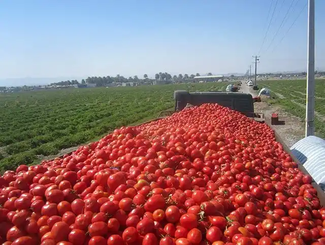 Image from عصر ساختمان: 🔺 *ضرورت سرمایهگذاری در بخش کشاورزی/ وضعیت نگران کننده فرسایش خاک در...