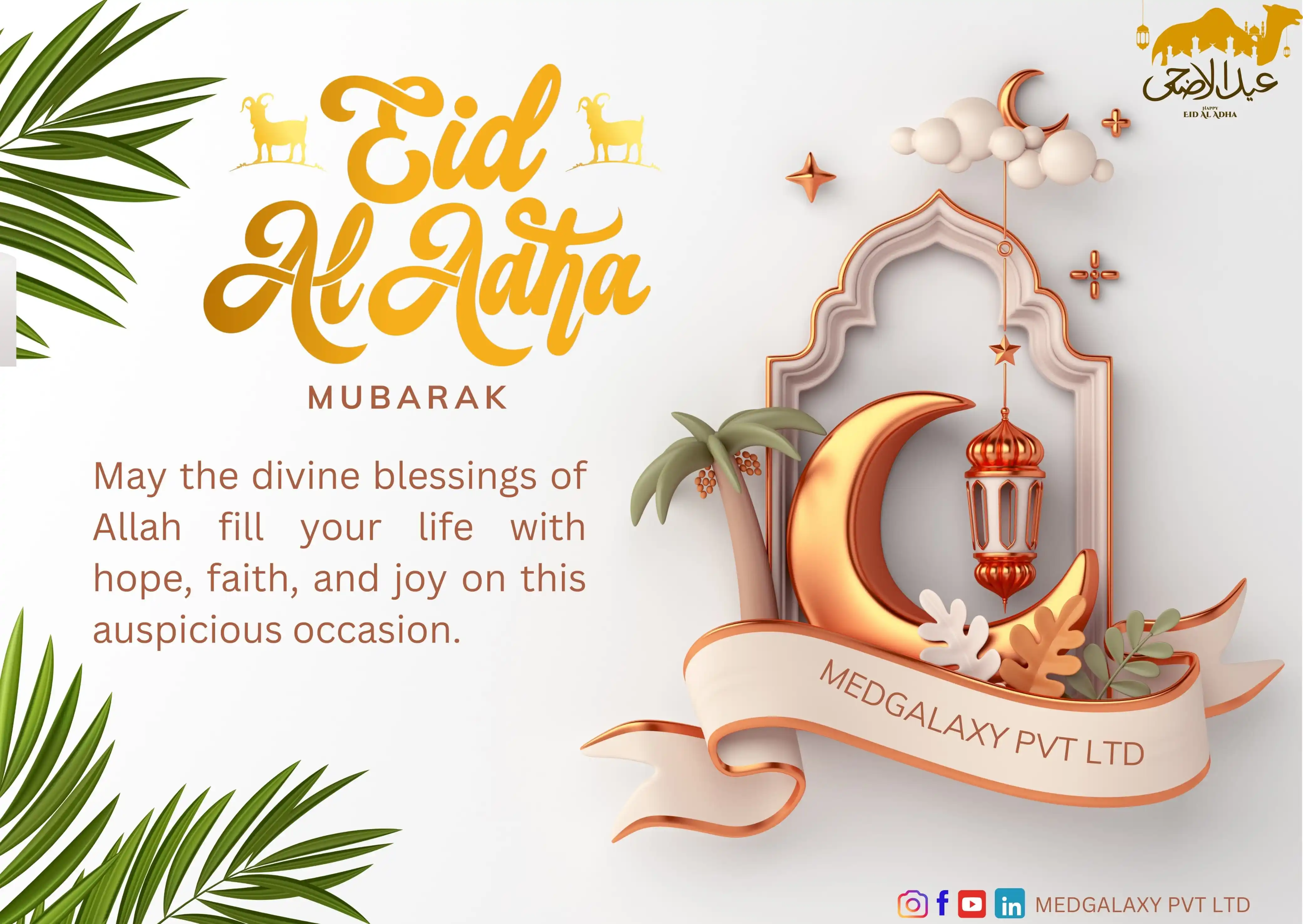 Image from MEDGALAXY: 🌙 *Eid ul Adha Mubarak* 🌙  Before sacrificing your animal, remember ...