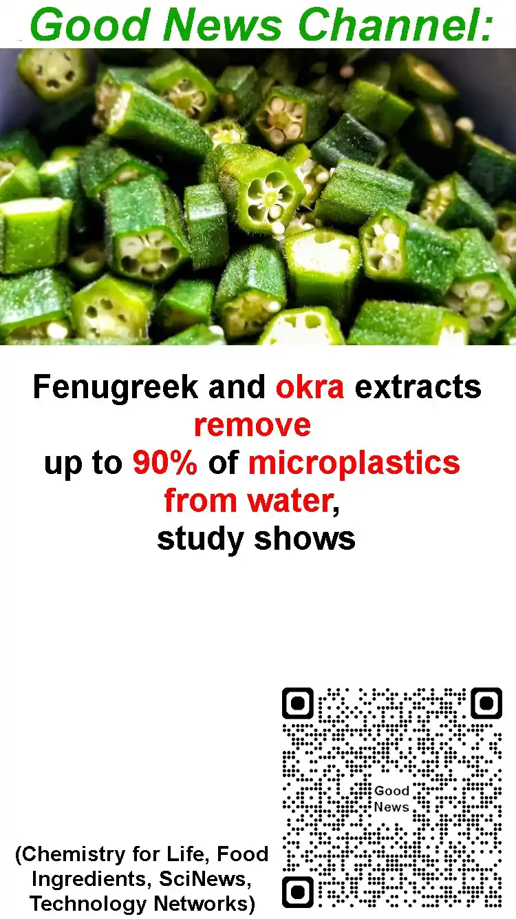 Image from Good News: Fenugreek and okra remove microplastics from water...
