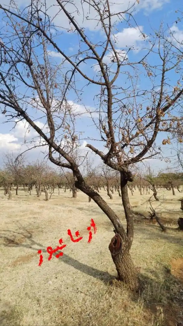 Image from ازنانیوز: فراخوان مردمی برای نجات پارک بانوان 🎙انعکاس <a class="text-blue-500 ...