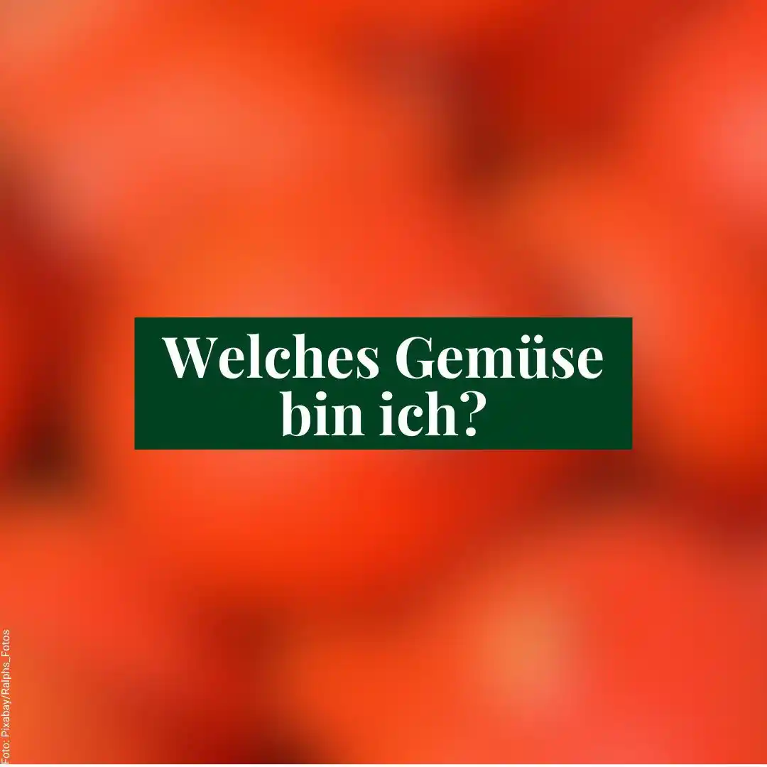 Image from Mein schöner Garten – Obst- & Gemüsegarten: Tipps & Tricks: Für echte Rätsel-Profis! 🤓 Wer bin ich? 🌱 Ich bin eine einjährige P...