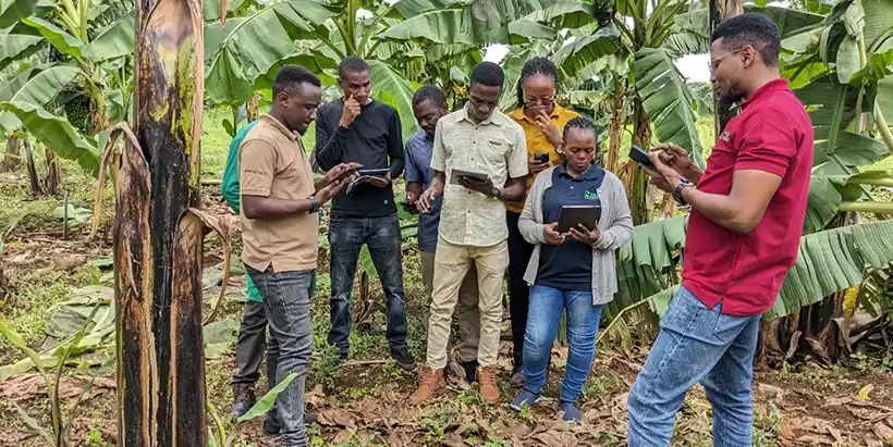 Image from IITA: *IITA trains NARS staff on digital tools to increase efficiency in ban...