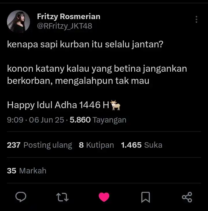 Fritzy's update🪄🎩 post