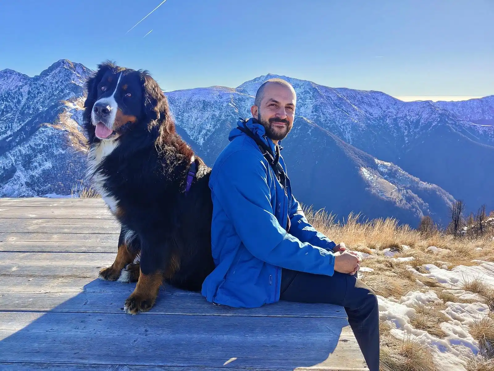 Image from StartupItalia: *La missione di uno startupper italiano in Svizzera. «Salvare i cani d...