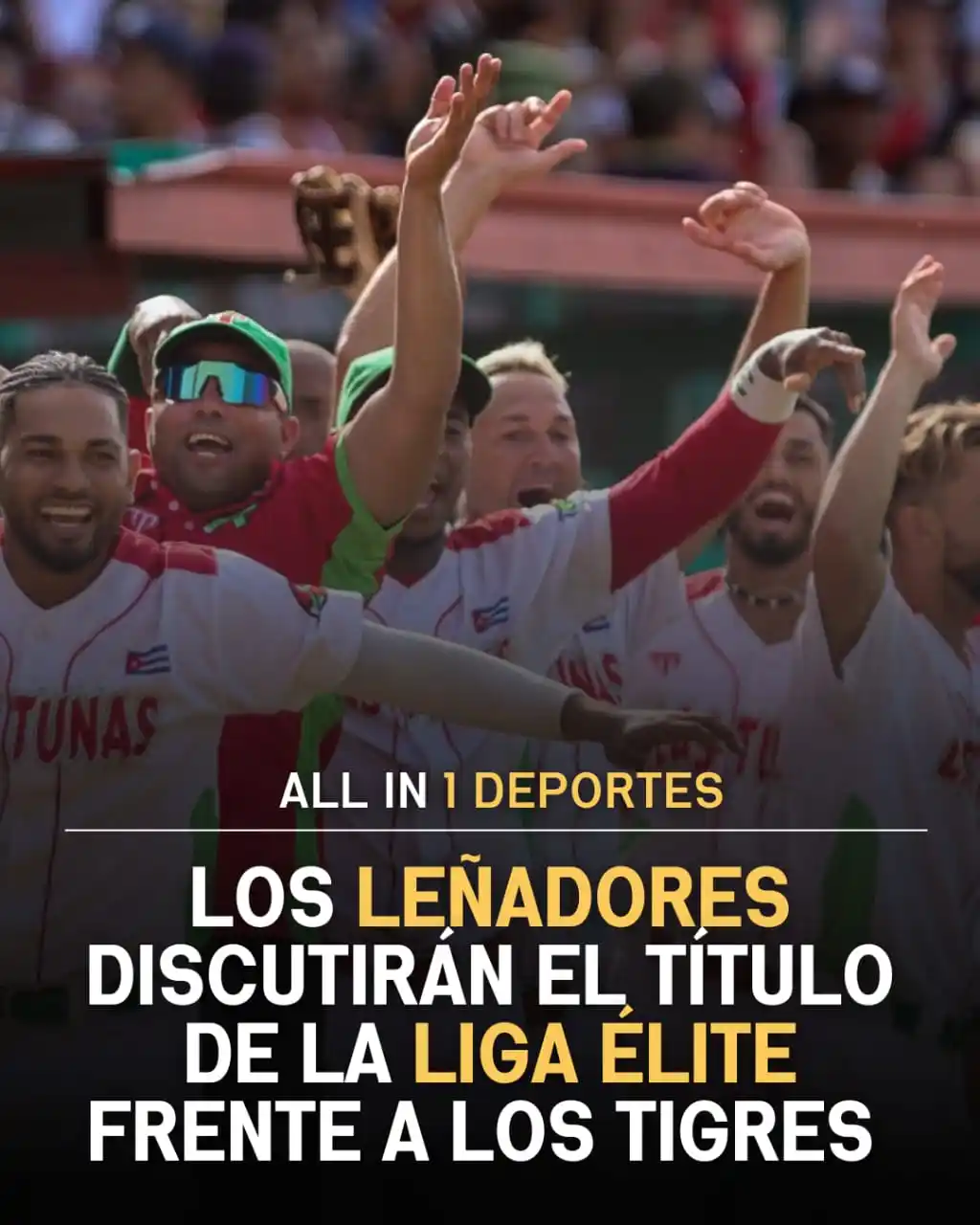 Image from All In 1 Deportes: 🪓🔥 ¡Leñadores a la gran final de la Liga Élite! ⚾🏆 Los Leñadores d...