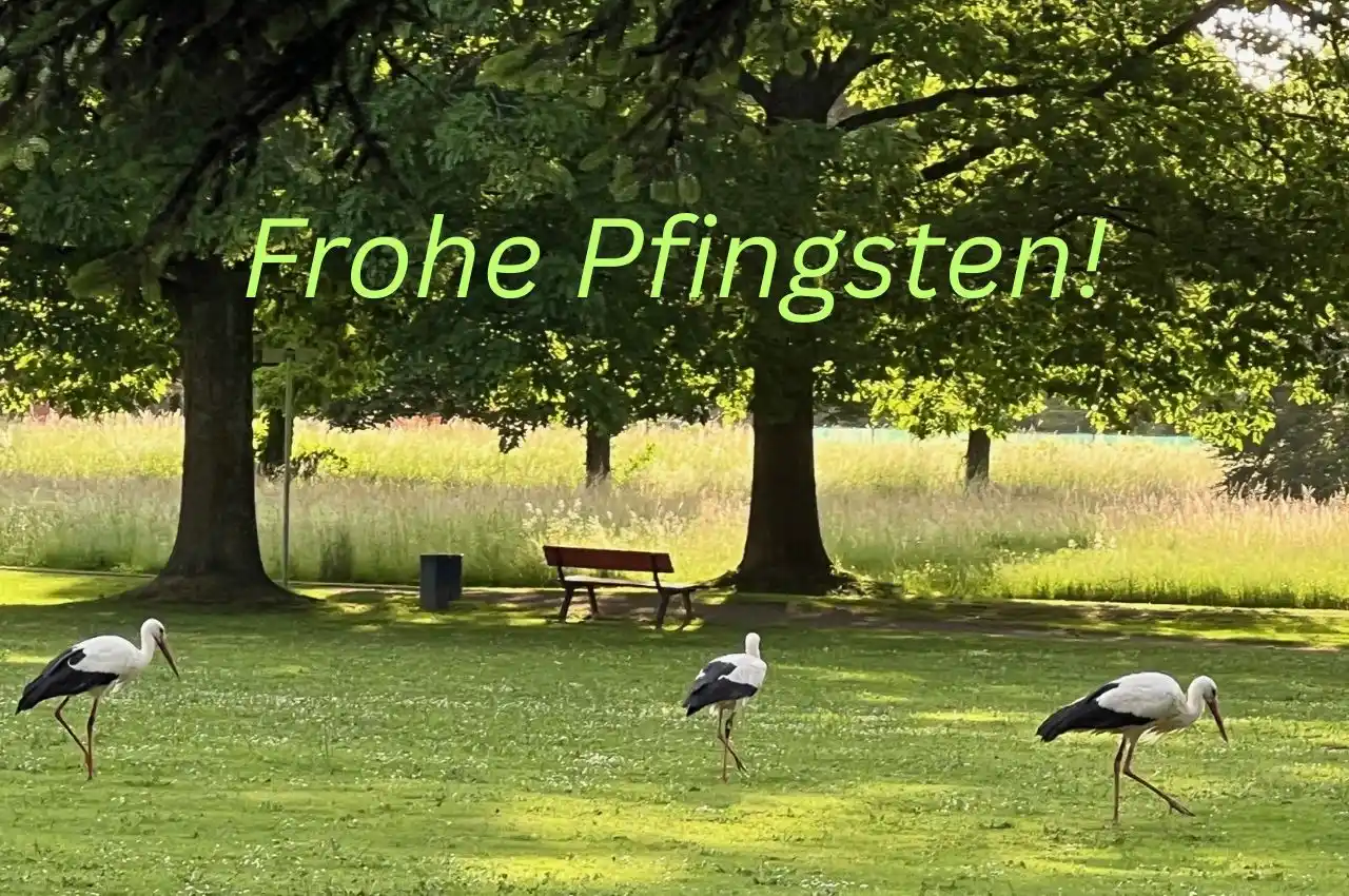 Image from Gemeinde Denzlingen: Liebe Denzlingerinnen und Denzlinger, die Gemeindeverwaltung Denzling...