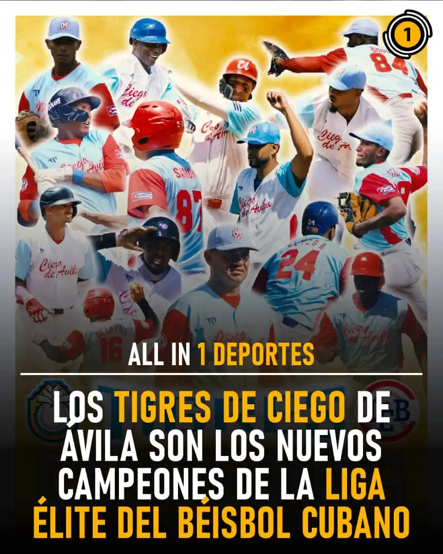 Image from All In 1 Deportes: 🏆🐯🔥 ¡LOS TIGRES SON LOS CAMPEONES DE LA LIGA ÉLITE! 🔥🐯🏆⚾🎉🇨🇺 ...