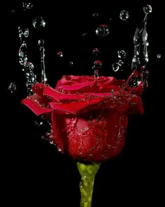 Image from البيت السعيد للمتزوجين : <a class="text-blue-500 hover:underline cursor-pointer" href="/hashtag...
