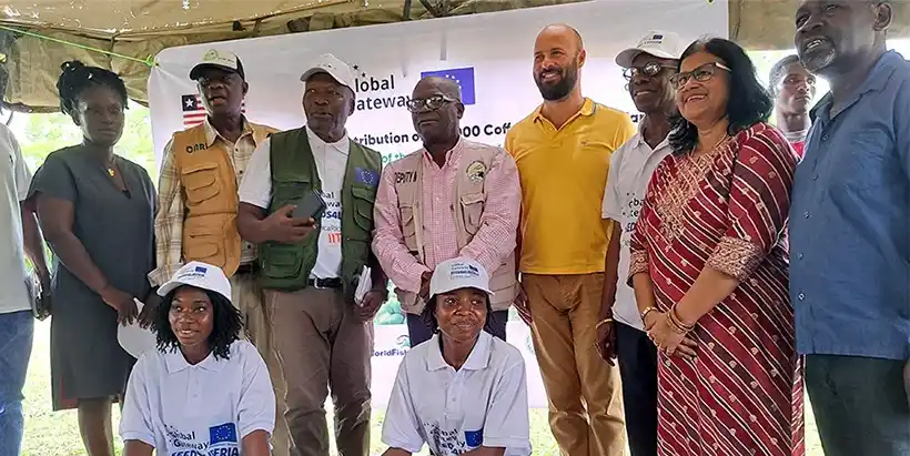 Image from IITA: *Seeds4Liberia: IITA boosts coffee revival in Liberia with massive see...