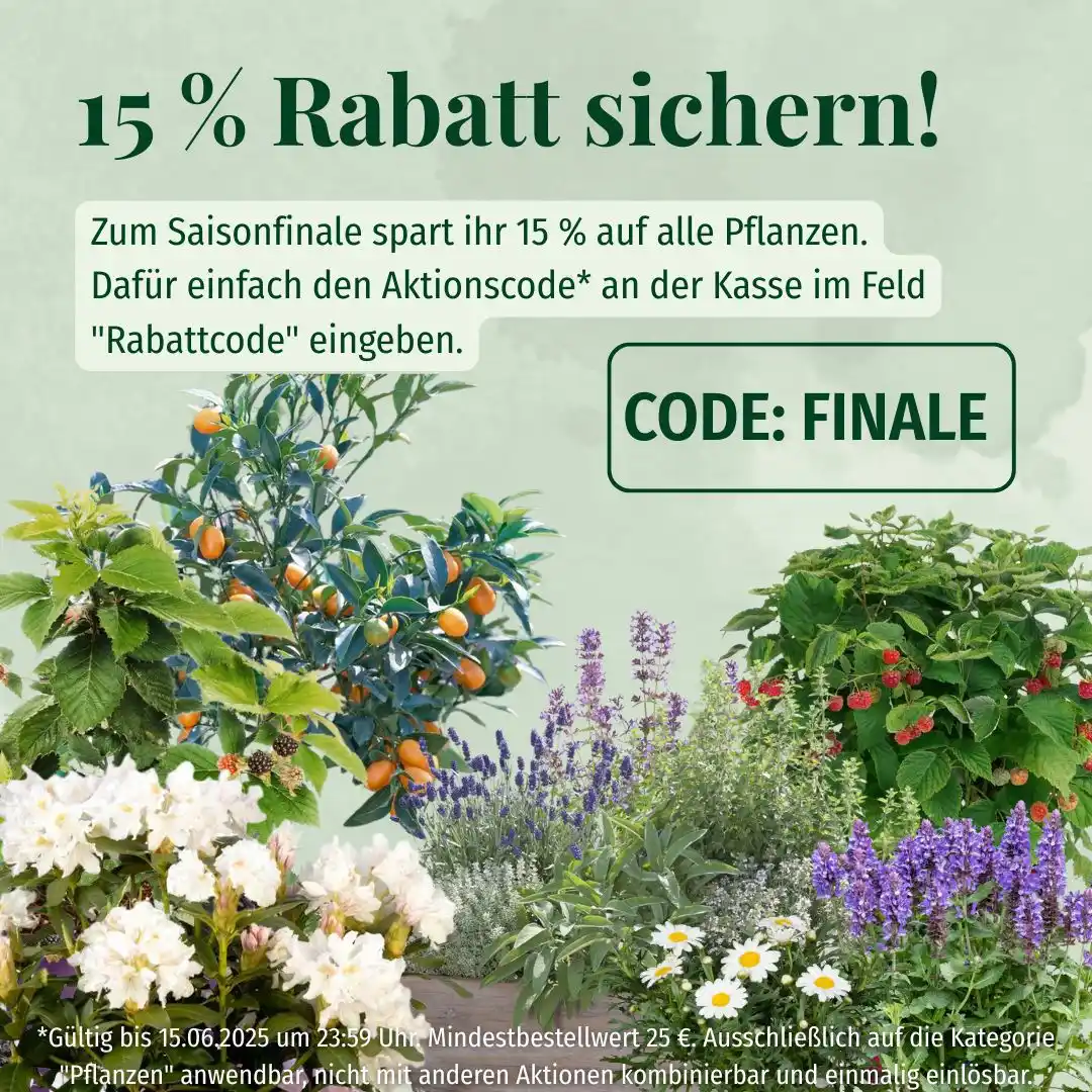 Image from Mein schöner Garten – Obst- & Gemüsegarten: Tipps & Tricks: Sparfüchse aufgepasst! *Nur noch bis Sonntag spart ihr 15 % auf alle P...