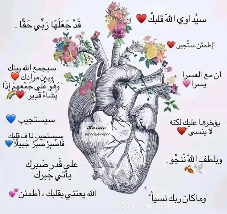 ملجأ الأرواح | قصص • حب • حزن 🖤 post