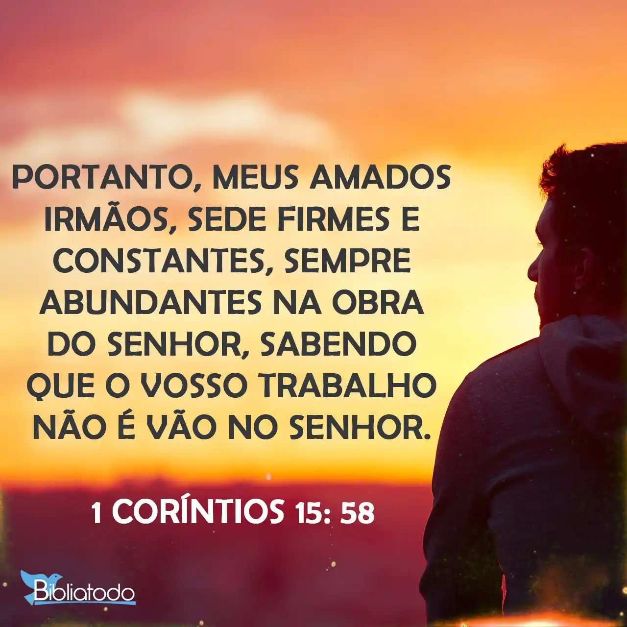 Image from 🕛 O DIA E A HORA NINGUÉM SABE: Diante dos desafios do dia-a-dia, muitas vezes pensamos em desistir !!...