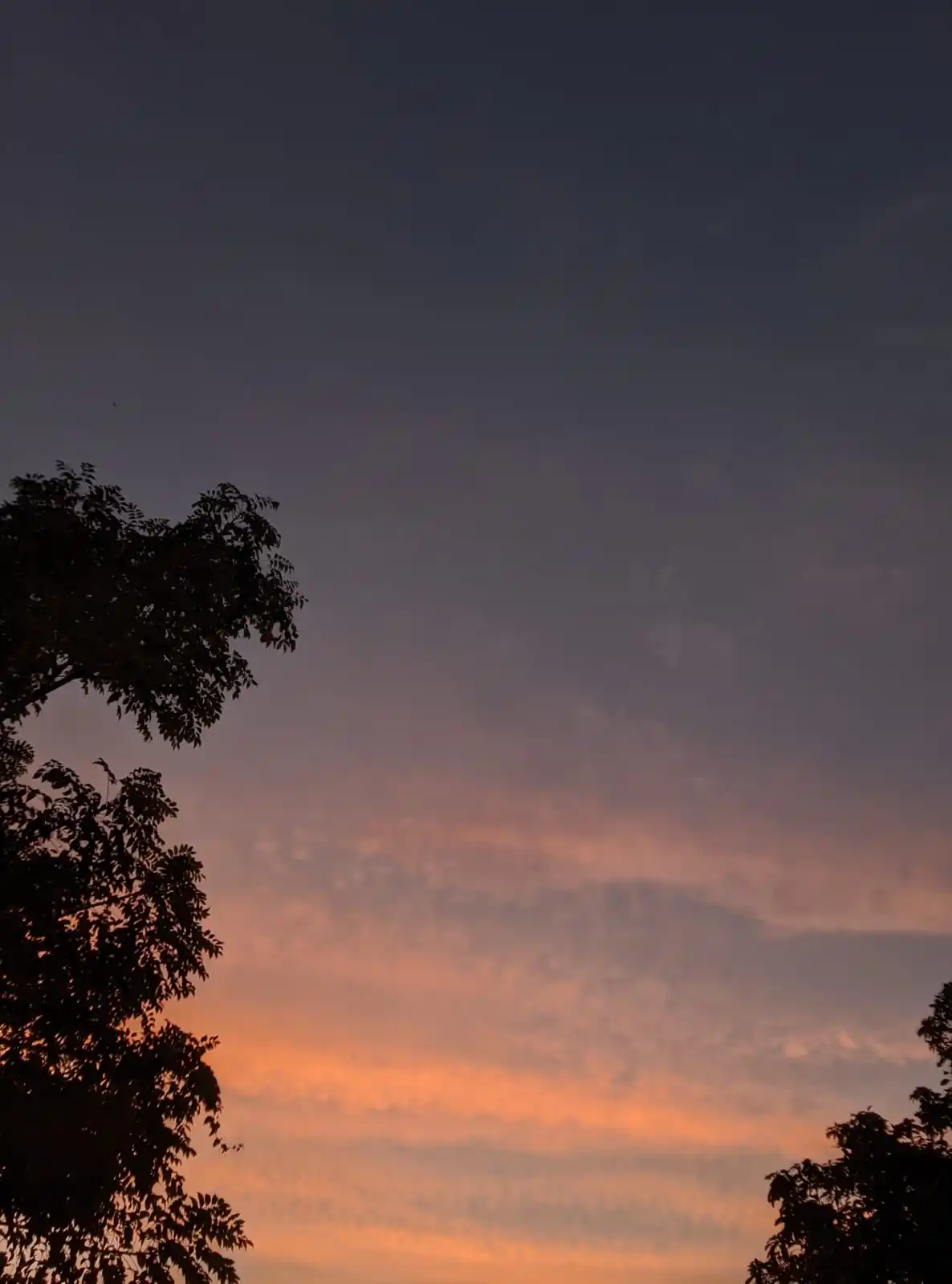 1 day 1 sky post