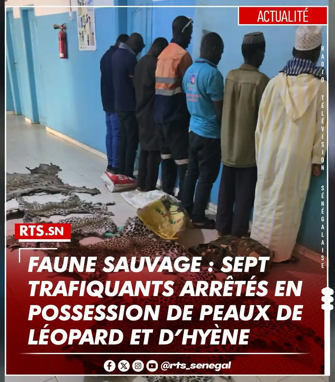 Image from ✨🇸🇳TOUT CE QUI SE PASSE AU SÉNÉGAL: Sept trafiquants ont été arrêtés à Kédougou lors d’une opération conjo...