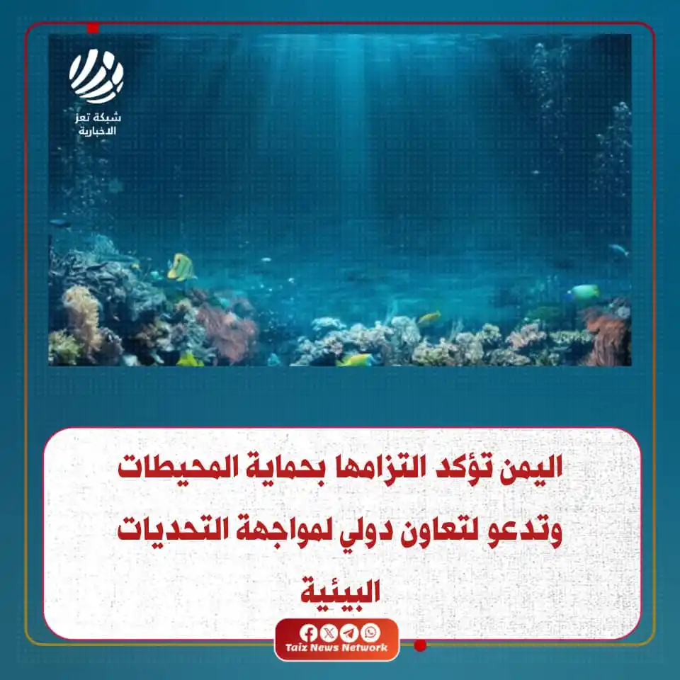 Image from شبكة تعز الاخبارية (TNN): اليمن تؤكد التزامها بحماية المحيطات وتدعو لتعاون دولي لمواجهة التحديات...