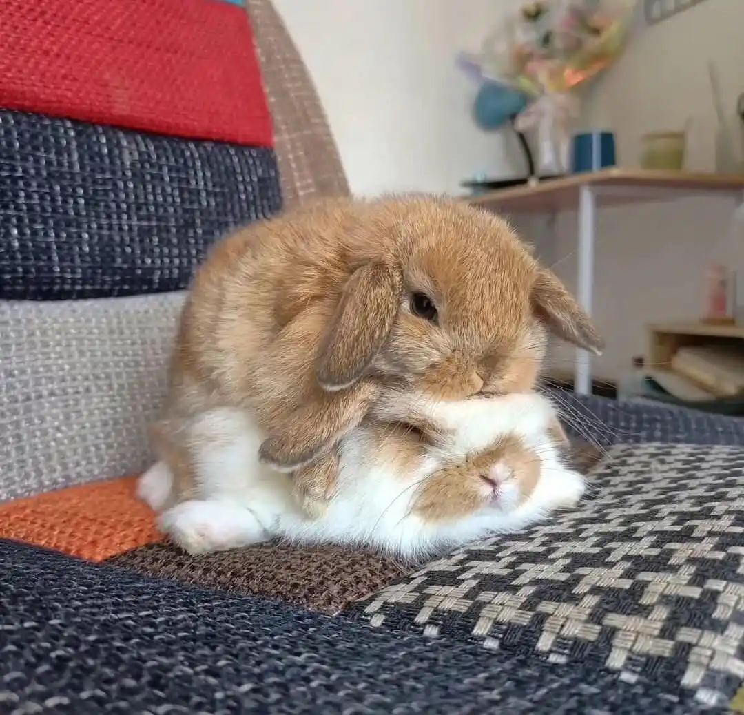 la martu cueva REMIX! 💤 ft Sodden & Mason post