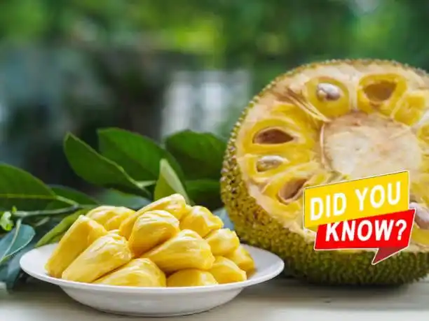 Image from DID YOU KNOW⁉️: DID YOU KNOW⁉️ _"Anemia can be prevented through the eating of Jack Fr...