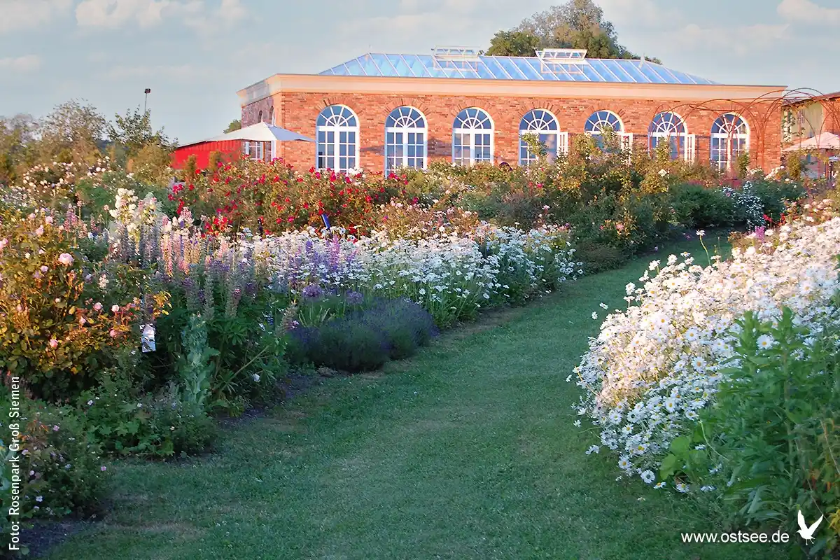 Image from Ostsee: Ein Spaziergang durch duftende Blumenparadiese ist die perfekte Ergänz...