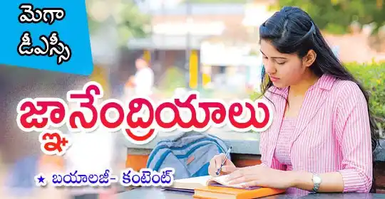 Image from MEGA DSC 2025 EENADU PRATIBHA Official: https://pratibha.eenadu.net/jobs/lesson/dsc/dsc-andhra-pradesh/telugu-...