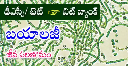 Image from MEGA DSC 2025 EENADU PRATIBHA Official: జీవ పరిణామం https://pratibha.eenadu.net/eligibilityexams/lesson/tet/...