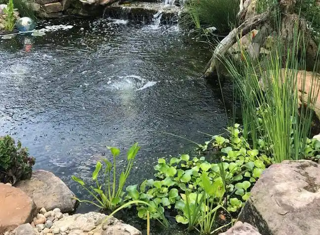 Image from اللہ سے محبت کا سفر ❤️: *تالاب ہمیشہ کنویں سے سینکڑوں گنا بڑا ہوتا ہںے پھر بھی لوگ کنویں کا پا...