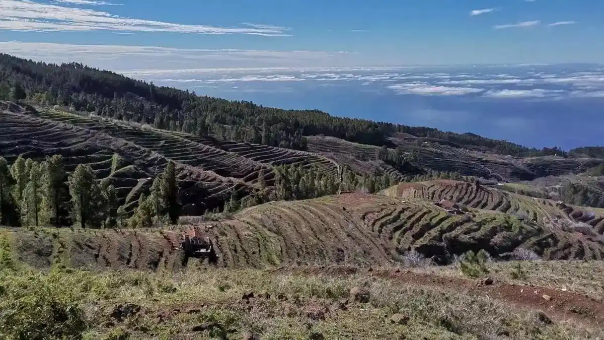 Agrónomos Centro y Canarias post
