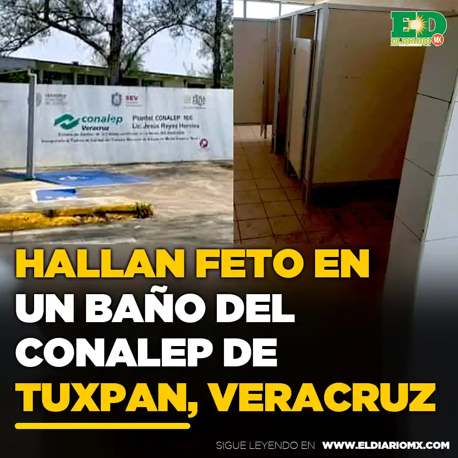 Image from El Diario MX 🗞📱: 🚽🚨💔 <a class="text-blue-500 hover:underline cursor-pointer" href="/...