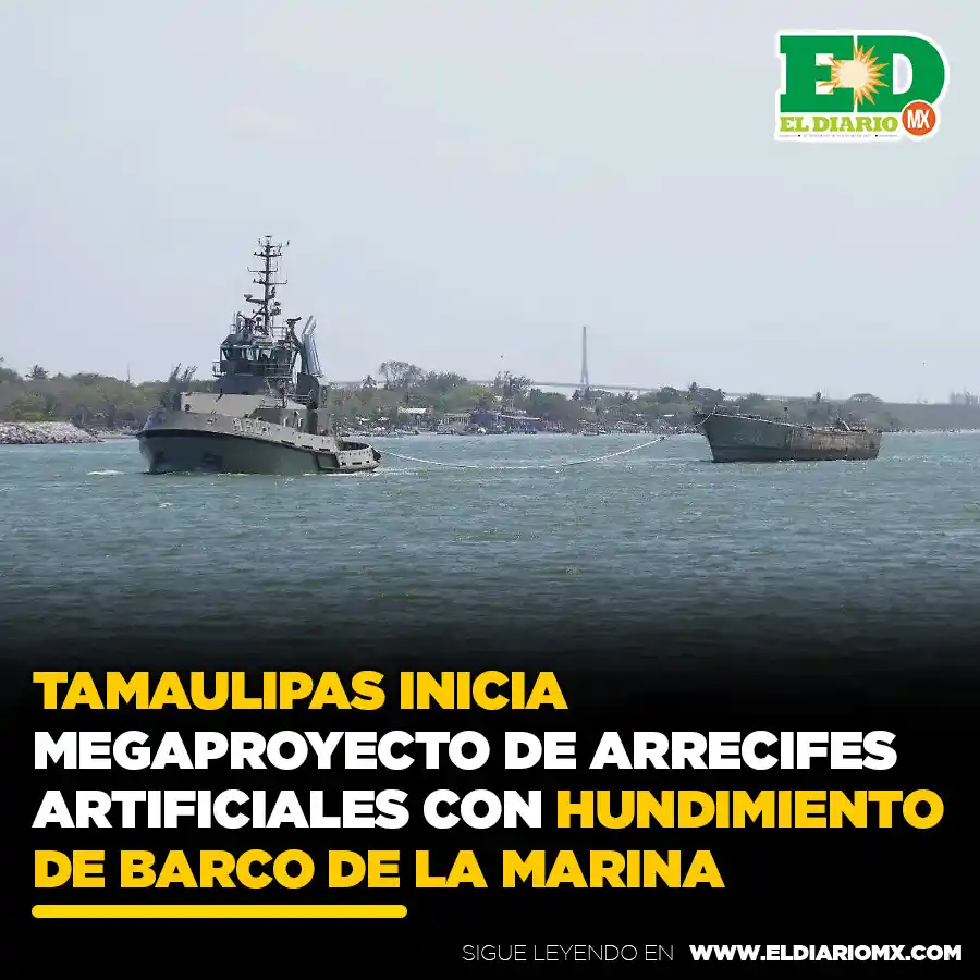Image from El Diario MX 🗞📱: ⭕<a class="text-blue-500 hover:underline cursor-pointer" href="/hashta...