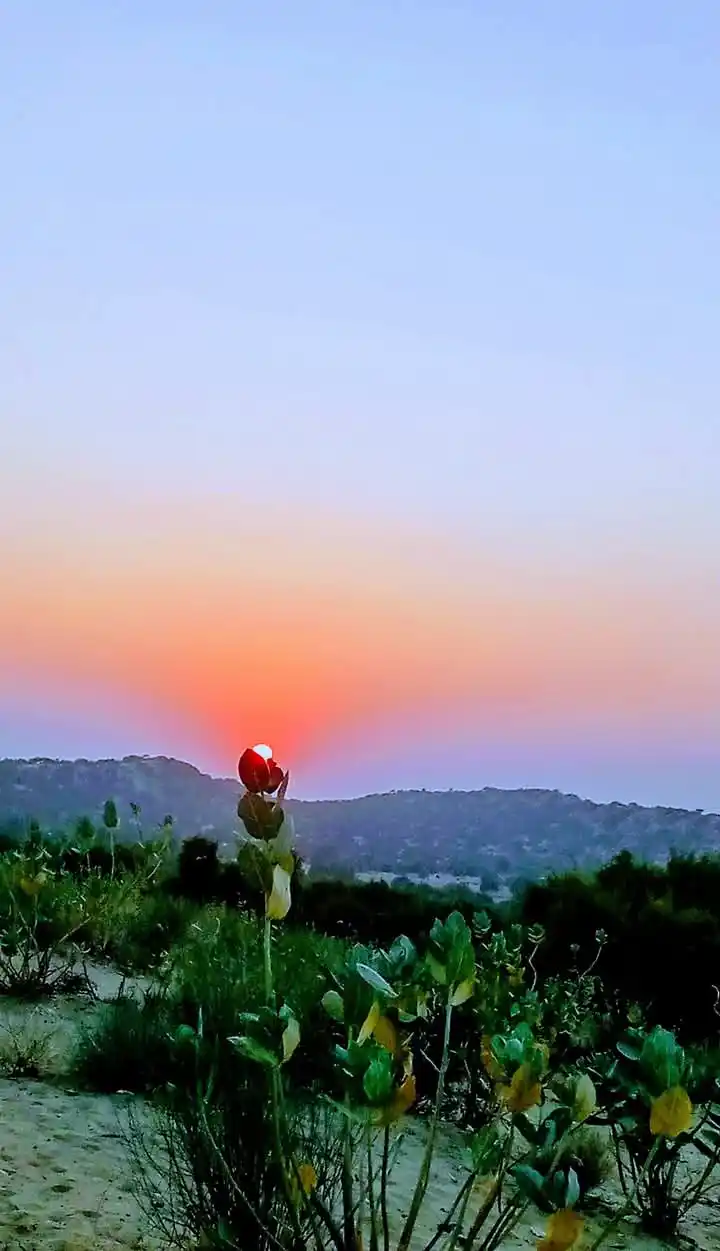 Image from 💔اڌوري محبت💔: ڪي ڪهاڻيون خوابن کي ڀري ڇڏينديون آهن ۽ سيراندي کان پيل وهاڻو آلو ڪري ڇ...