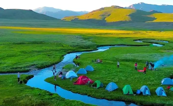 Image from Van Telgraf: Van’ın Çatak ilçesindeki 2 bin 800 rakımlı Alendeşt Yaylası, sarı çiçe...