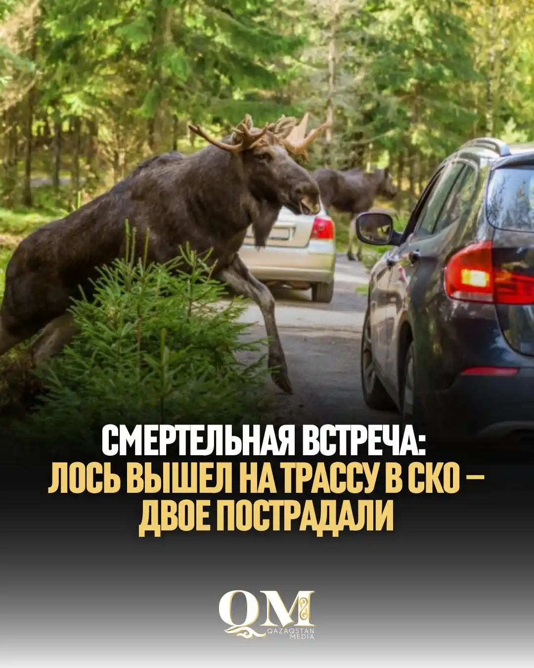 Image from Qazaqstan Media: ДТП, в котором есть пострадавшие и погибший произошло 10 июня на трасс...