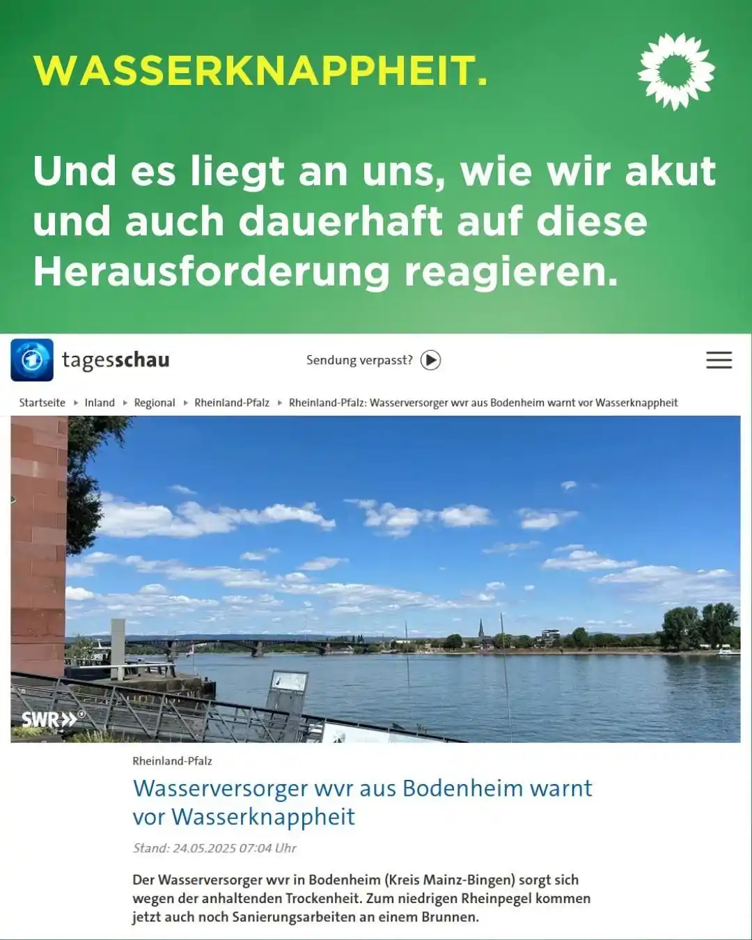 Image from BÜNDNIS 90/DIE GRÜNEN Bodenheim: 🌻Guten Morgen, Bodenheim hat es in die ARD Nachrichten geschafft. Der...