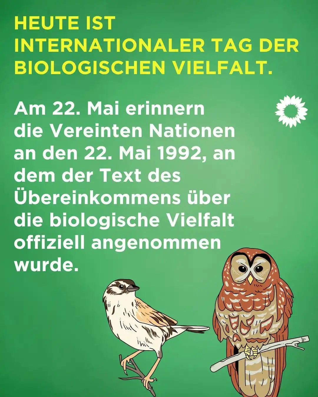 Image from BÜNDNIS 90/DIE GRÜNEN Bodenheim: Guten Morgen, Bodenheim! Hier mal was zur Erinnerung🌻🌻🌻...