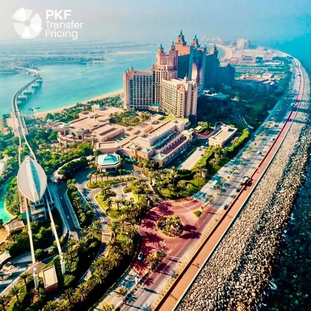 Image from Transfer Pricing in Touch : 🌍 PKF Transfer Pricing Center of Excellence is a leading global provi...